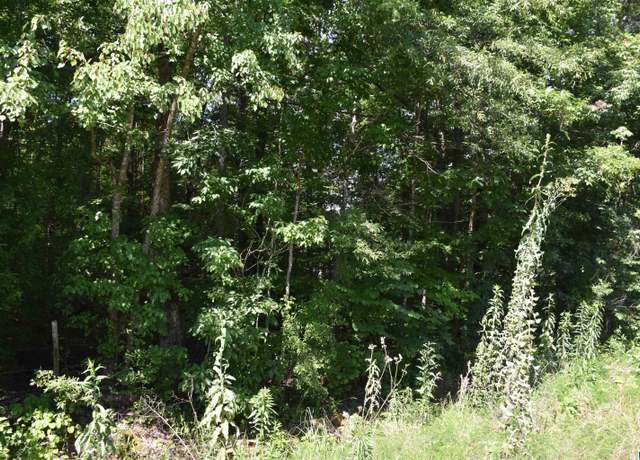 Property at 0 Old Sylacauga Hwy #0, Sylacauga, AL 35150