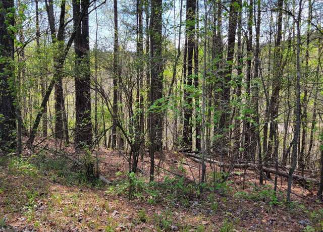 Property at Lake Geneva Dr #24, Wedowee, AL 36278