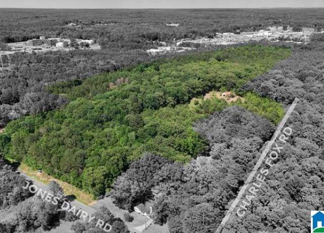 Property at 0 Jones Dairy Rd #0, Jasper, AL 35501