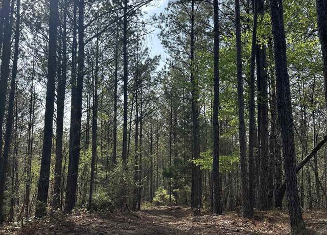 Property at 0 Pleasant Ridge Cir #1, Tuscaloosa, AL 35555