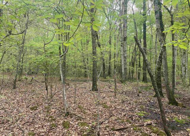 Property at 2499 Carter Rd #1, Hazel Green, AL 35750