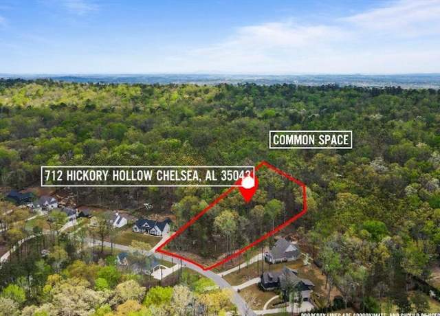 Property at 712 Hickory Holw #17, Chelsea, AL 35043