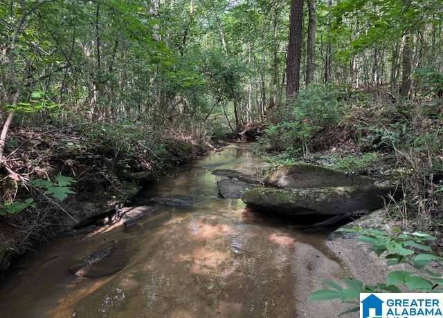 Property at 63445 Highway 22 Unit 70 Ac, Roanoke, AL 36274