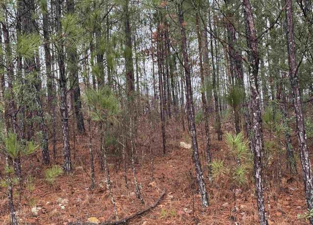 Property at 310 Willow Ln #11, Vincent, AL 35178