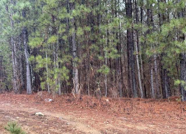 Property at 300 Willow Ln #12, Vincent, AL 35178