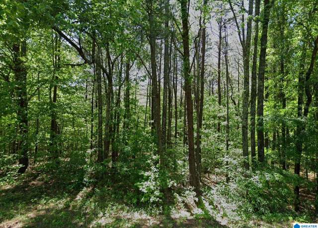 Property at 6837 Blueberry Rd #000, Bessemer, AL 35023