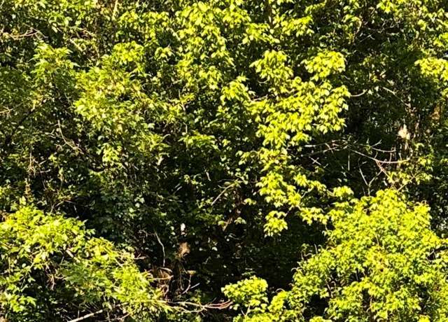 Property at 4600 Highway 119 #0, Montevallo, AL 35115