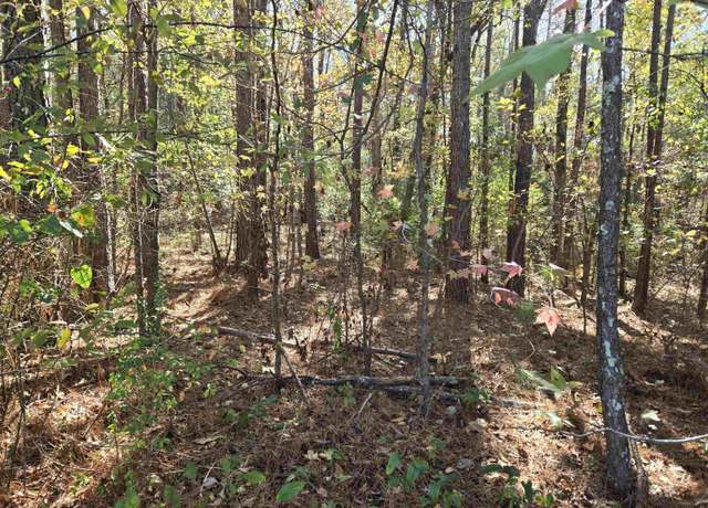 Property at 0 Maynor Ln #21, Oneonta, AL 35121