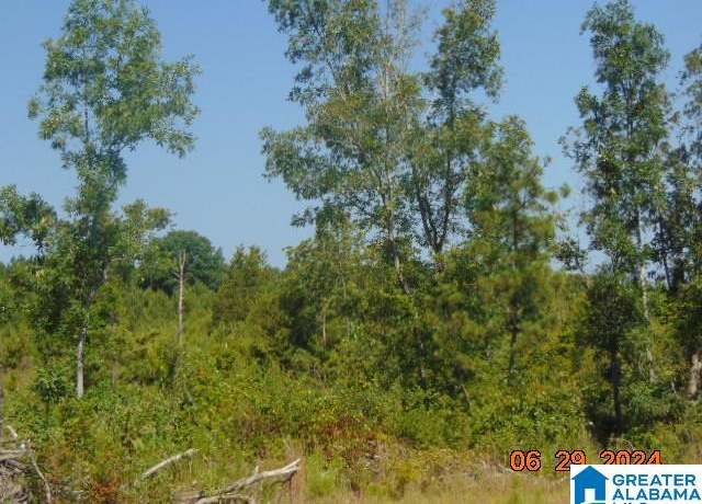 Property at 0 County Road 447 #1, Verbena, AL 36091
