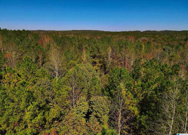Property at 001 County Road 997 Unit a, Clanton, AL 35046