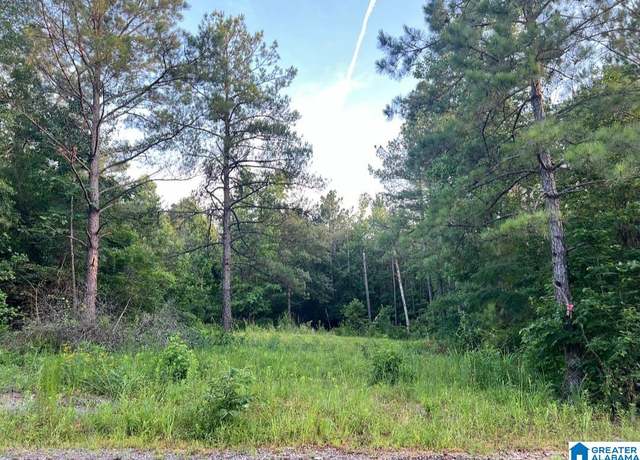 Property at 59 County Road 976 #1, Jemison, AL 35085