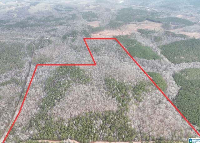 Property at 156+/- Acres County Road 313 Unit 156+/- Acres, Wedowee, AL 36278