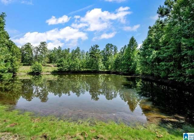 Property at 587 Mountain Dr, Remlap, AL 35133, 3 beds, 3 baths