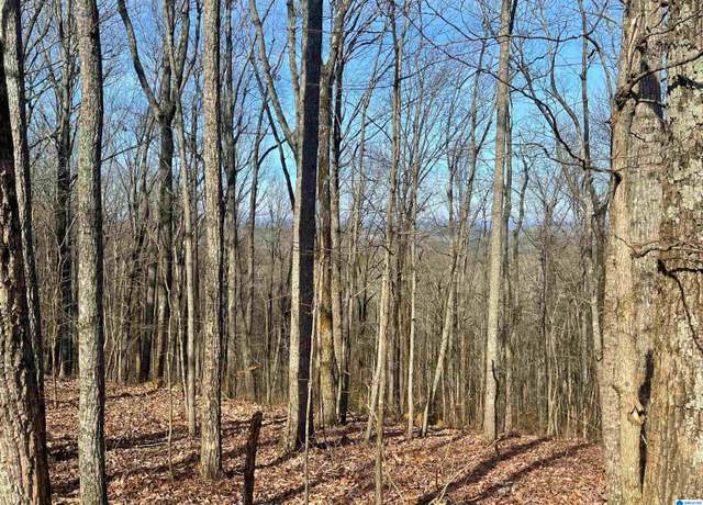Property at 0 County Road 852 #1, Heflin, AL 36264