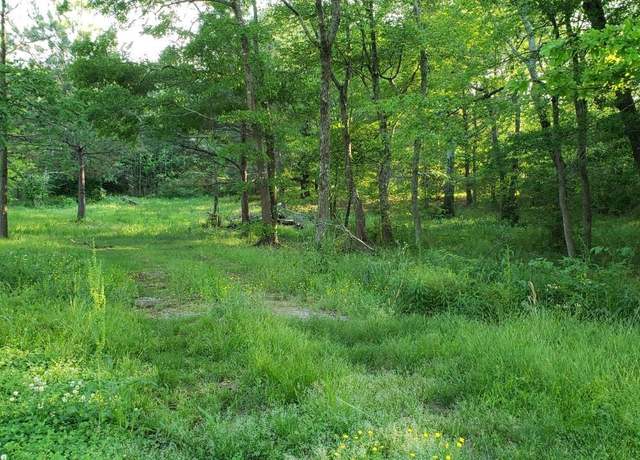 Property at 0 Thomas Dr #0, Altoona, AL 35952
