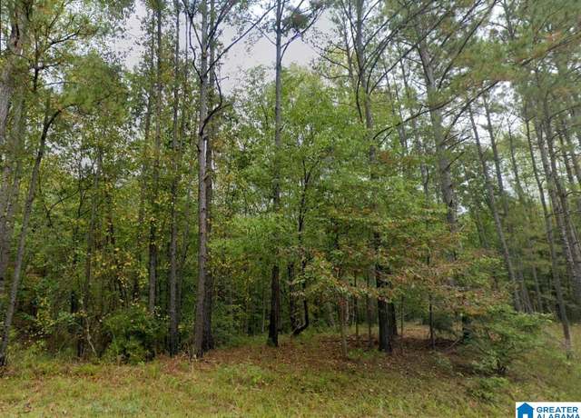 Property at 0 County Road 61 Unit -, Clanton, AL 35046