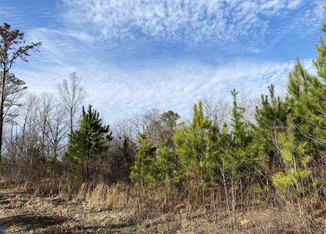 Property at Center Hill Rd #000, Locust Fork, AL 35097