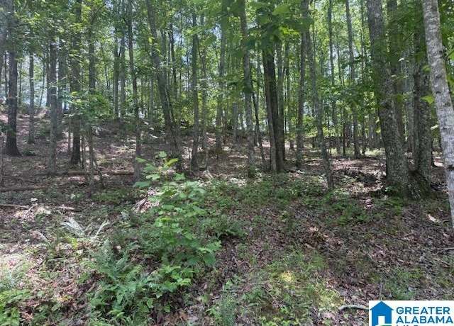 Property at 62 Bluebird Ln #11, Springville, AL 35146