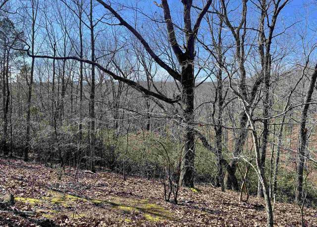 Property at 0 County Road 852 #4, Heflin, AL 36264