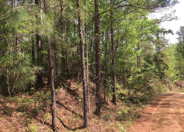 Property at 0 Highway 219 #1, Centreville, AL 35042