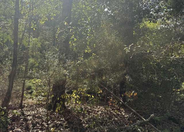 Property at Lot 45 County Road 264 #45, Wedowee, AL 36278