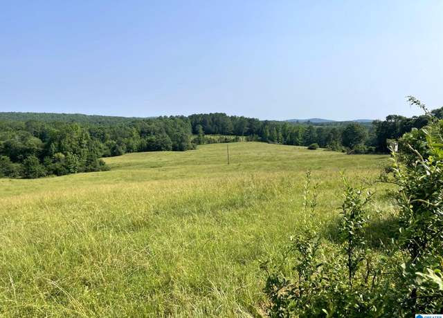 Property at 1500 Shiloh Church Rd Unit 81.95 acres, Delta, AL 36258