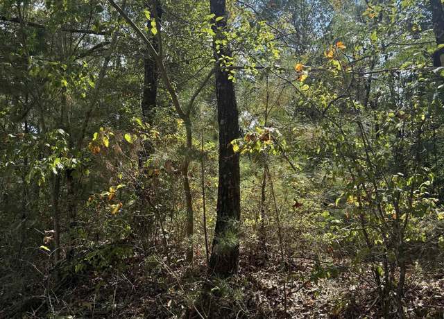 Property at Lot 46 County Road 264 #46, Wedowee, AL 36278