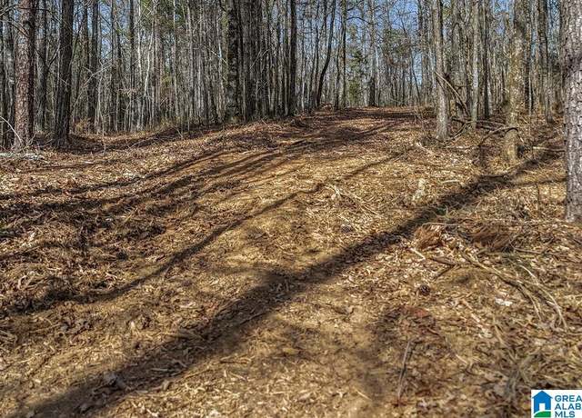 Property at Lot 4 Highway 47 Lot 4, Columbiana, AL 35051