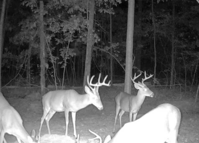 Property at Lot 4 Highway 47 Lot 4, Columbiana, AL 35051