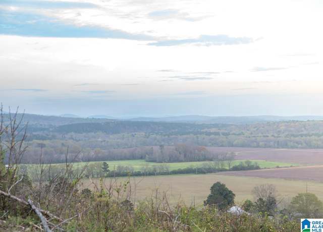 Property at 4947 Highway 231 #4, Vincent, AL 35178