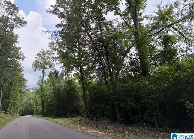 Property at 0 County Road 479 #0, Vincent, AL 35178