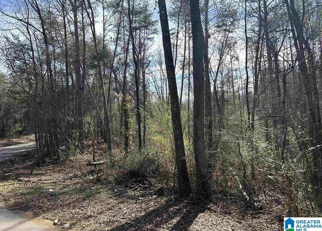 Property at 0 Highway 315 #1, Columbiana, AL 35051