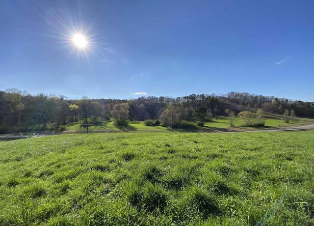 Property at 6423 Highway 174 Unit Tract 4, Springville, AL 35146