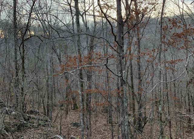 Property at 0 Hickory Ln #813, Warrior, AL 35180