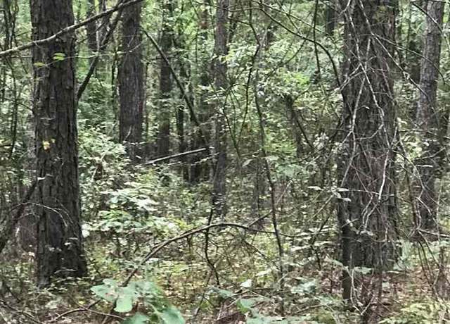 Property at 0 Highway 191 #39, Alpine, AL 35014
