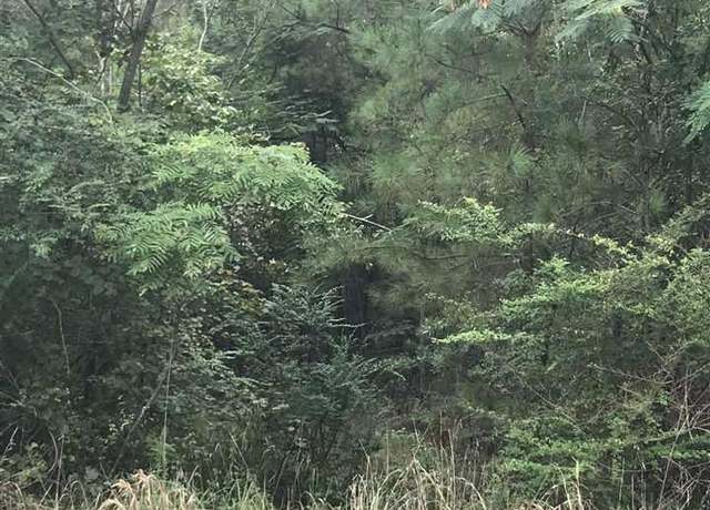 Property at Constellation Ave #1, Alpine, AL 35014