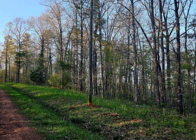 Property at 00 Pointe South Dr Unit 60, 61, Wedowee, AL 36278