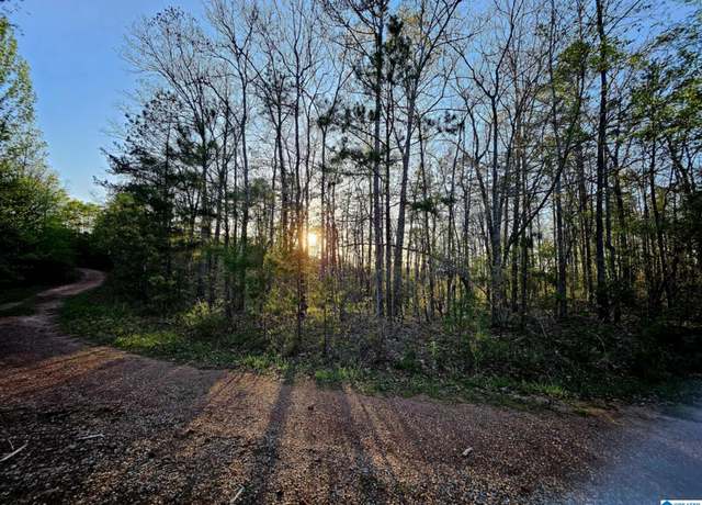 Property at 000 Pointe South Dr Unit 69,70,71,72,73, Wedowee, AL 36278