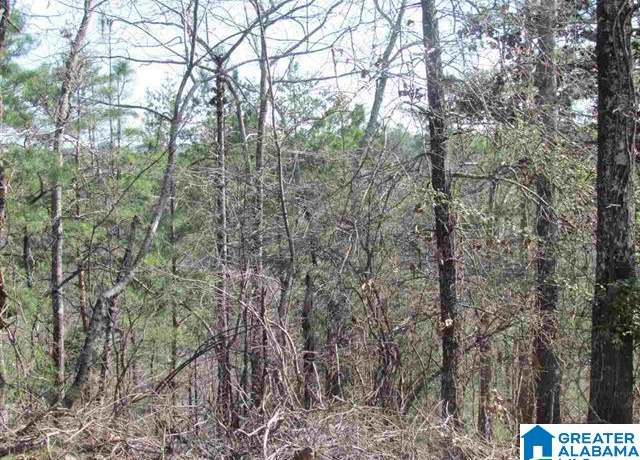 Property at 0000 Cogswell Ave Unit vacant 61+- acres, Pell City, AL 35125