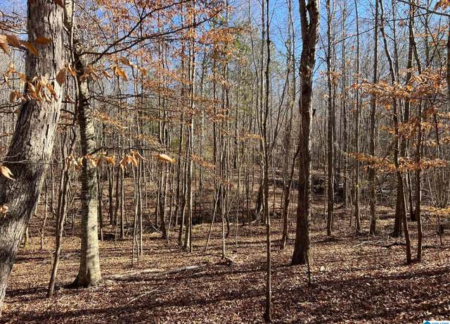 Property at 12 Acres County Road 487 Unit 12 Acres +/-, Verbena, AL 36091