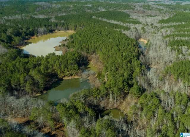 Property at County Road 44 #1, Brilliant, AL 35548