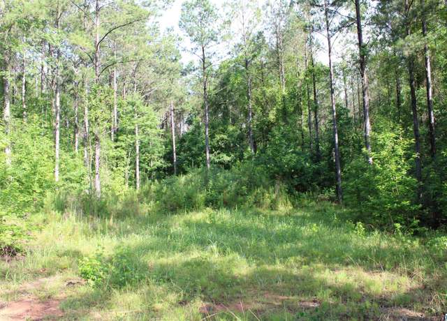 Property at 0 Providence Church Rd, Rockford, AL 35136