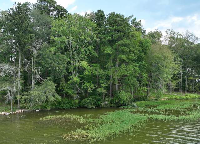 Property at 0 Gibson Cove Dr Unit 7.10 Acres Plus . 58 ac Access Lot, Ashville, AL 35953
