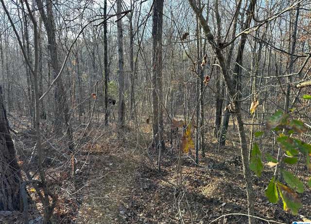 Property at 0 Broken Arrow Creek Rd #0, Riverside, AL 35135