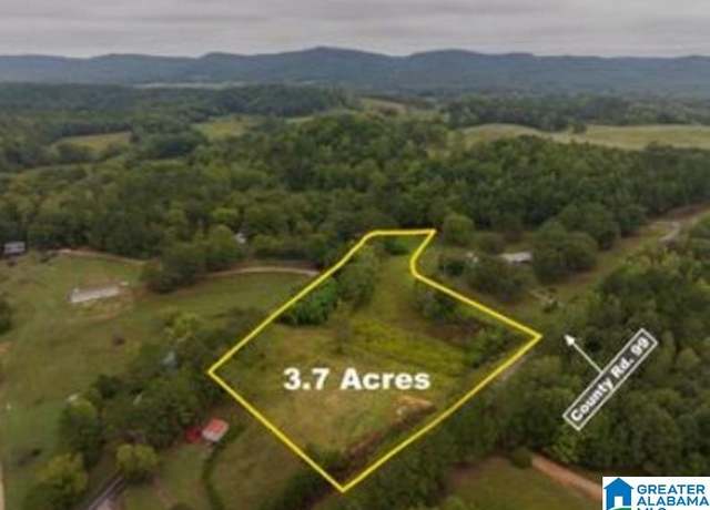 Property at 00 County Road 99 #0, Gaylesville, AL 35973