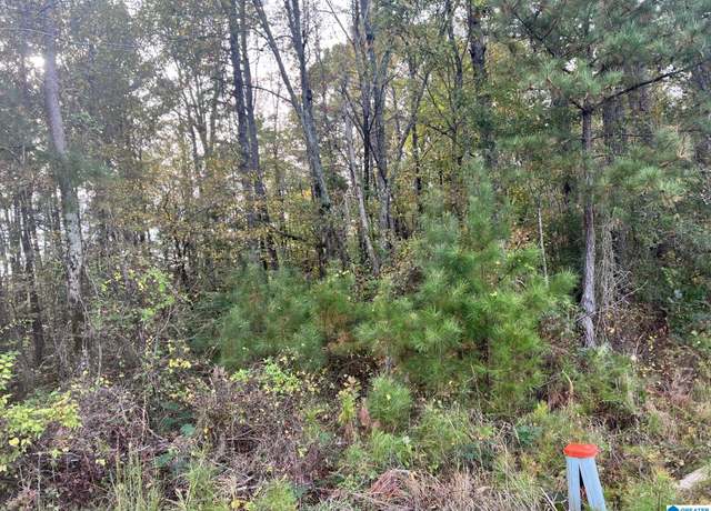 Property at Jones Rd #2, Alpine, AL 35014