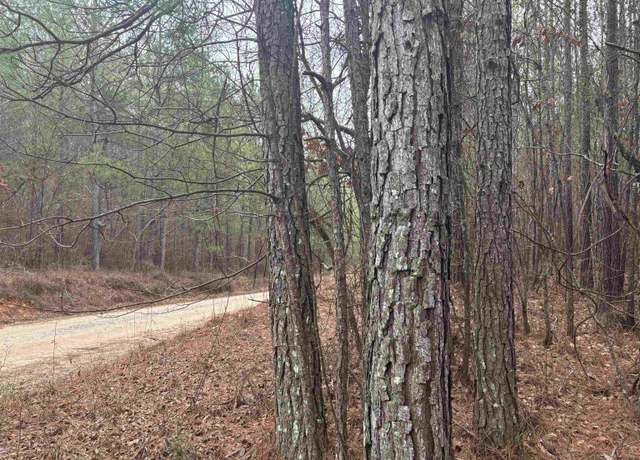 Property at County Road 823 Lot 6, Wadley, AL 36276