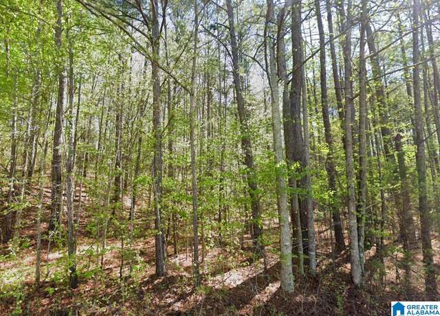 Property at 0 Highway 48 Unit -, Wedowee, AL 36278