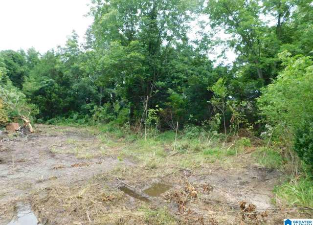 Property at 0 Highway 231 #1, Ashville, AL 35953