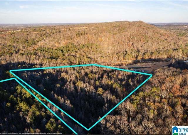 Property at 23 acres Highway 41 #0, Altoona, AL 35952
